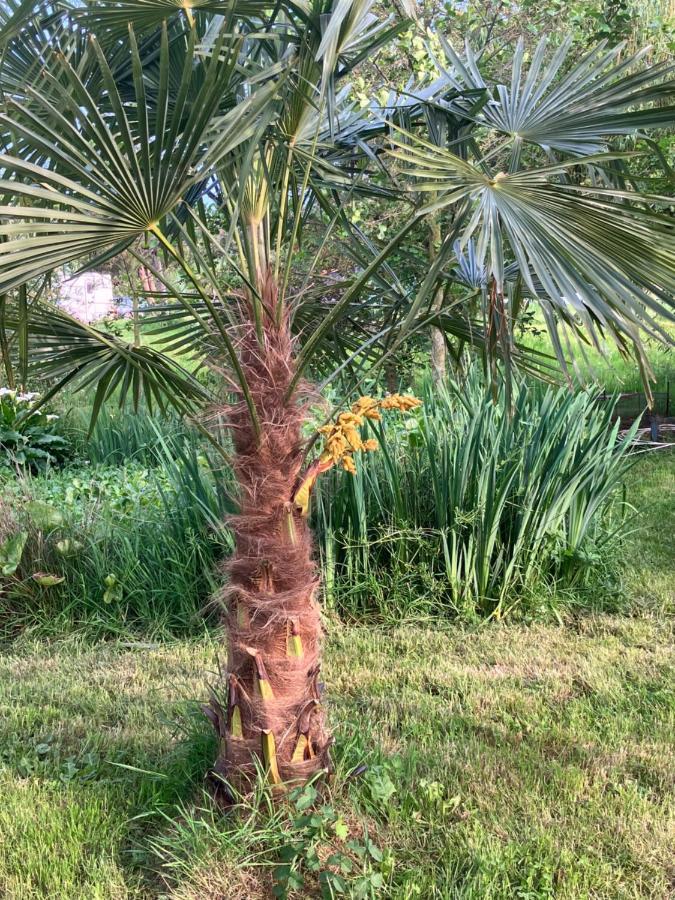 Les Sources Camping Club Les Cresnays Luaran gambar
